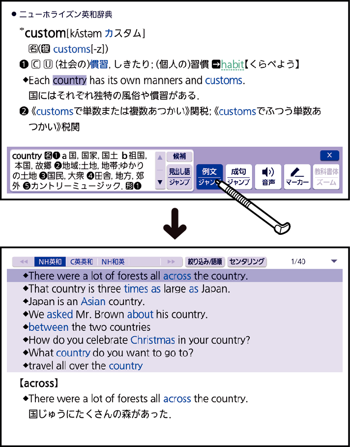 Examine_Example_Sentences_And_Phrases_002 SX2000